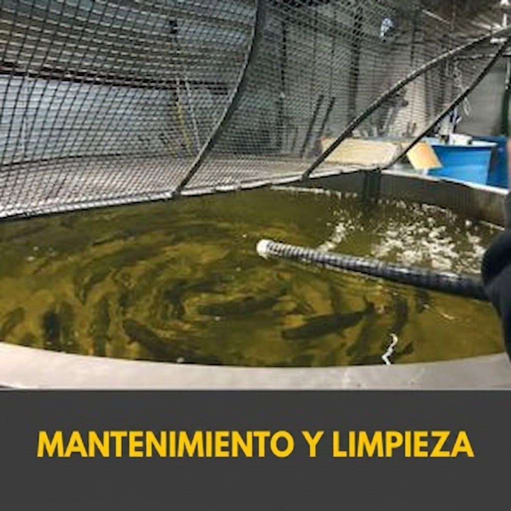 Módulo 5