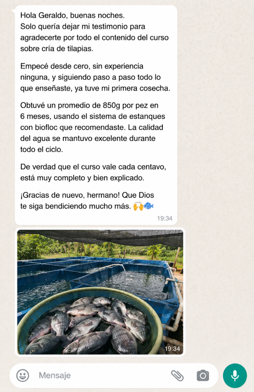 Testimonio 2