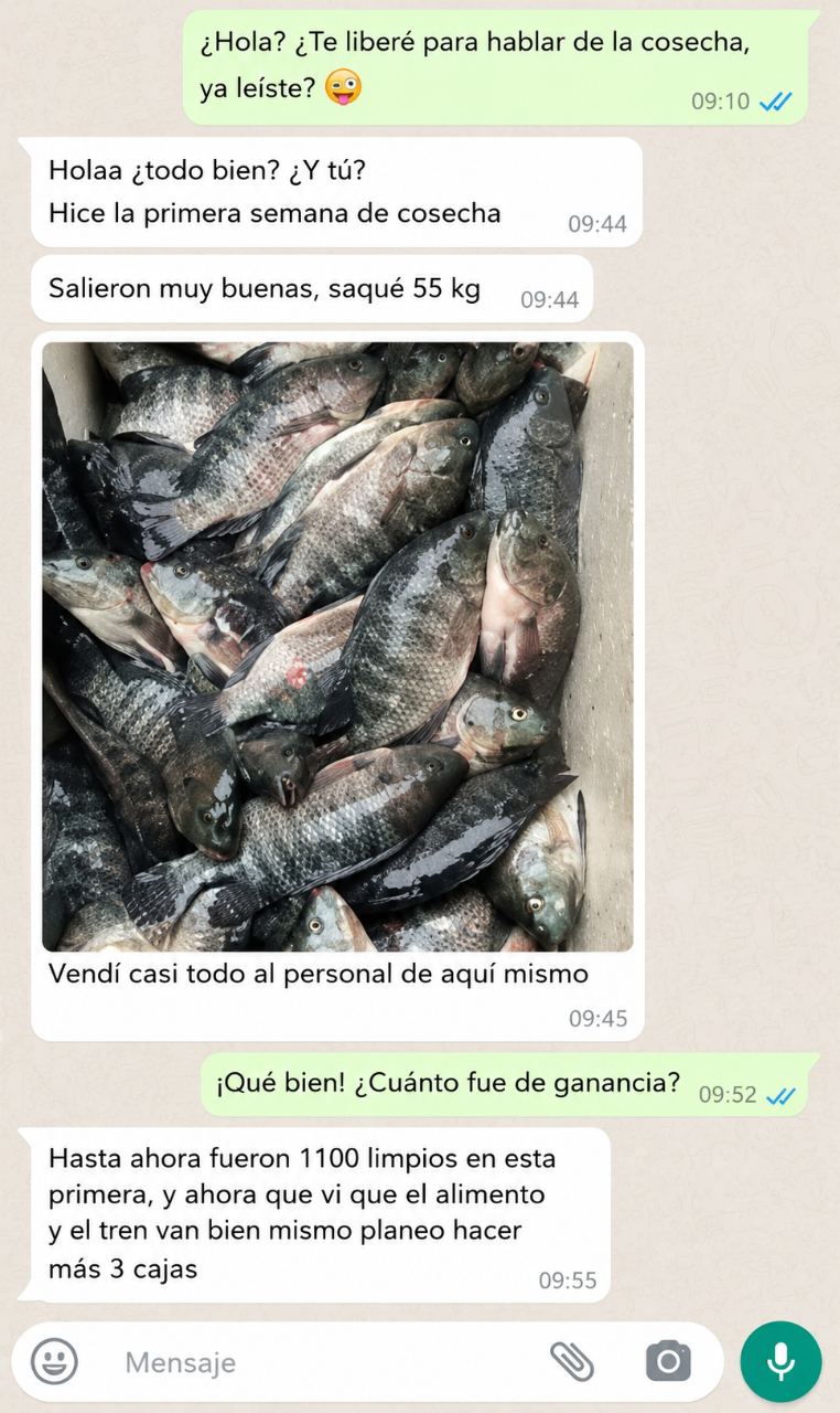 Testimonio 4