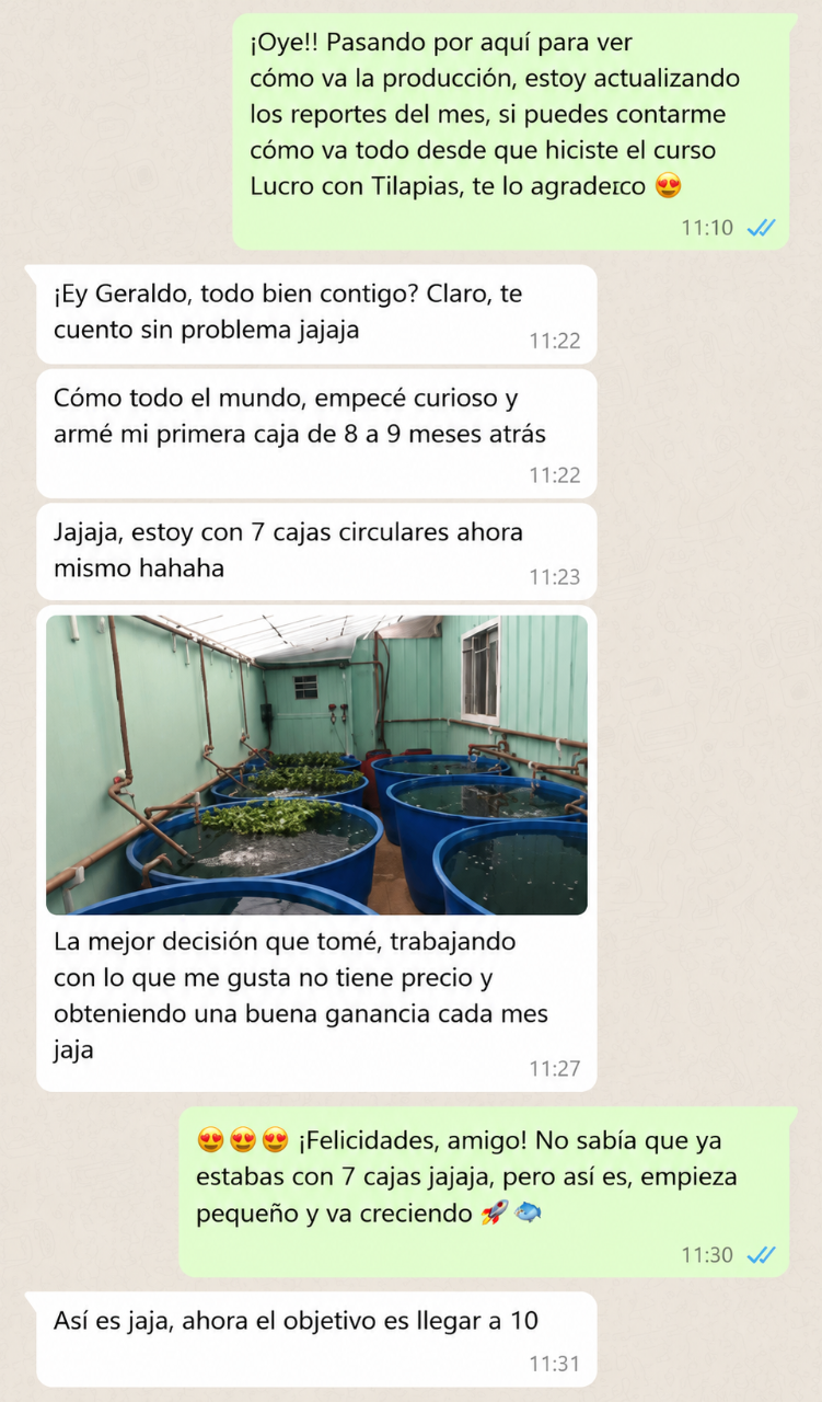 Testimonio 6